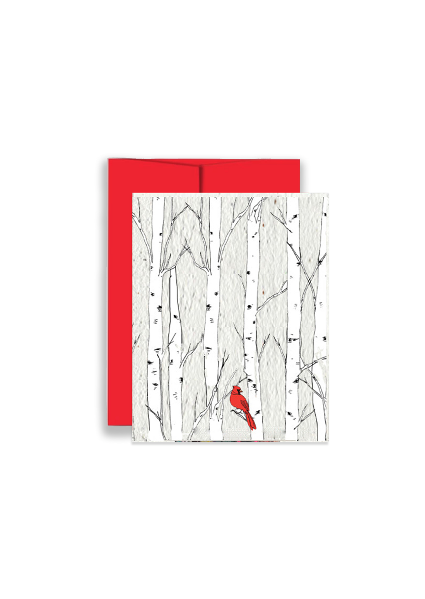 Artsy Em - Christmas Cardinal Wildflower Seed Paper Greeting Card
