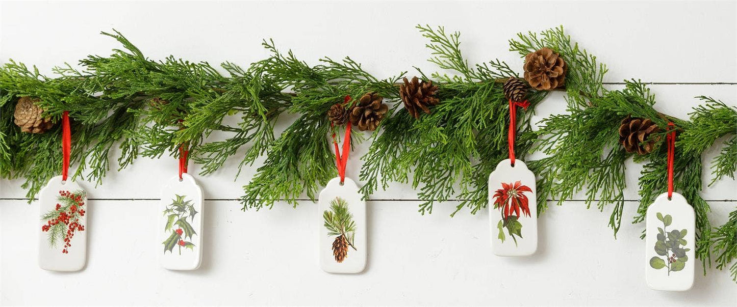 Audrey's Home & Gift - Winter Botanical Ceramic Ornaments (Pk/05 Ast)