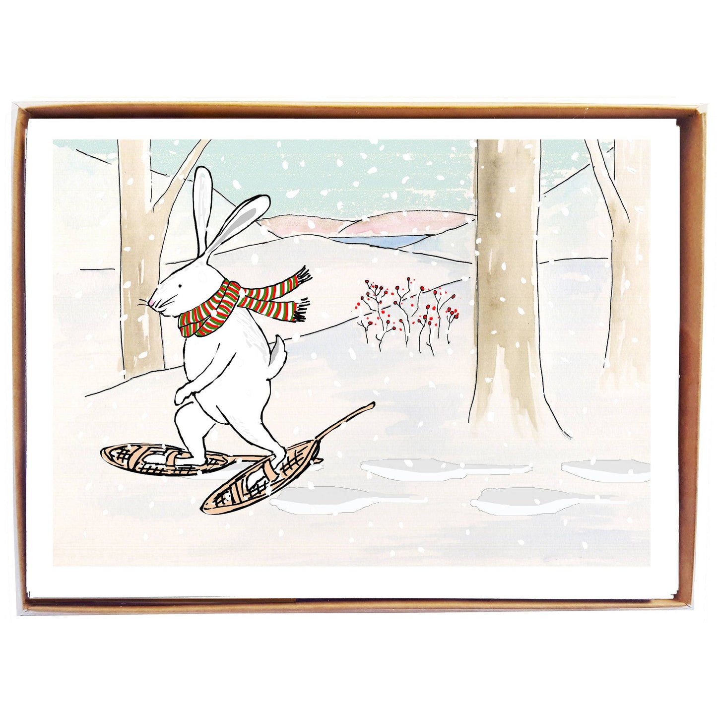 mollyOcards - Snowshoe Hare - box of 8