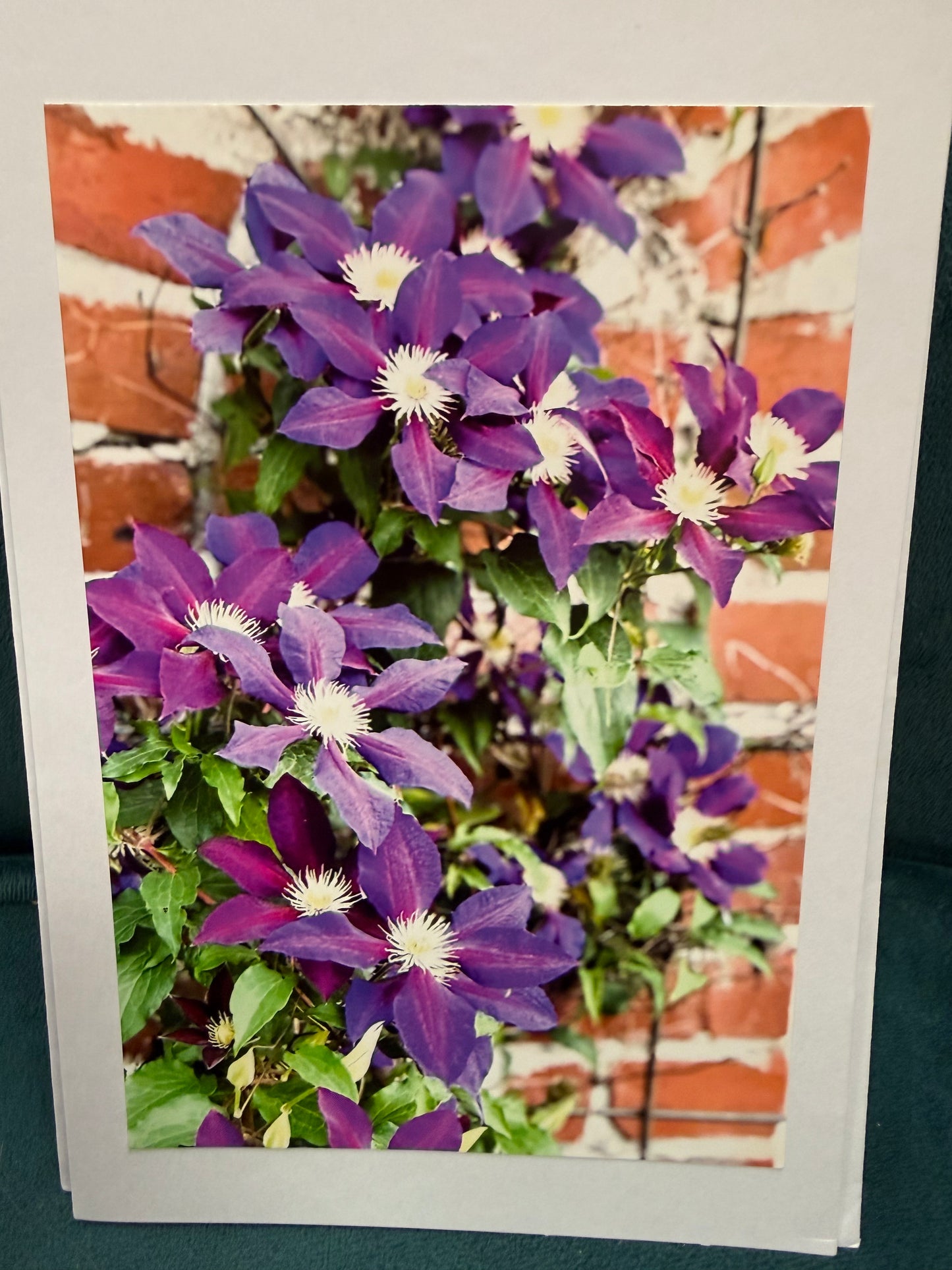 Flower card
