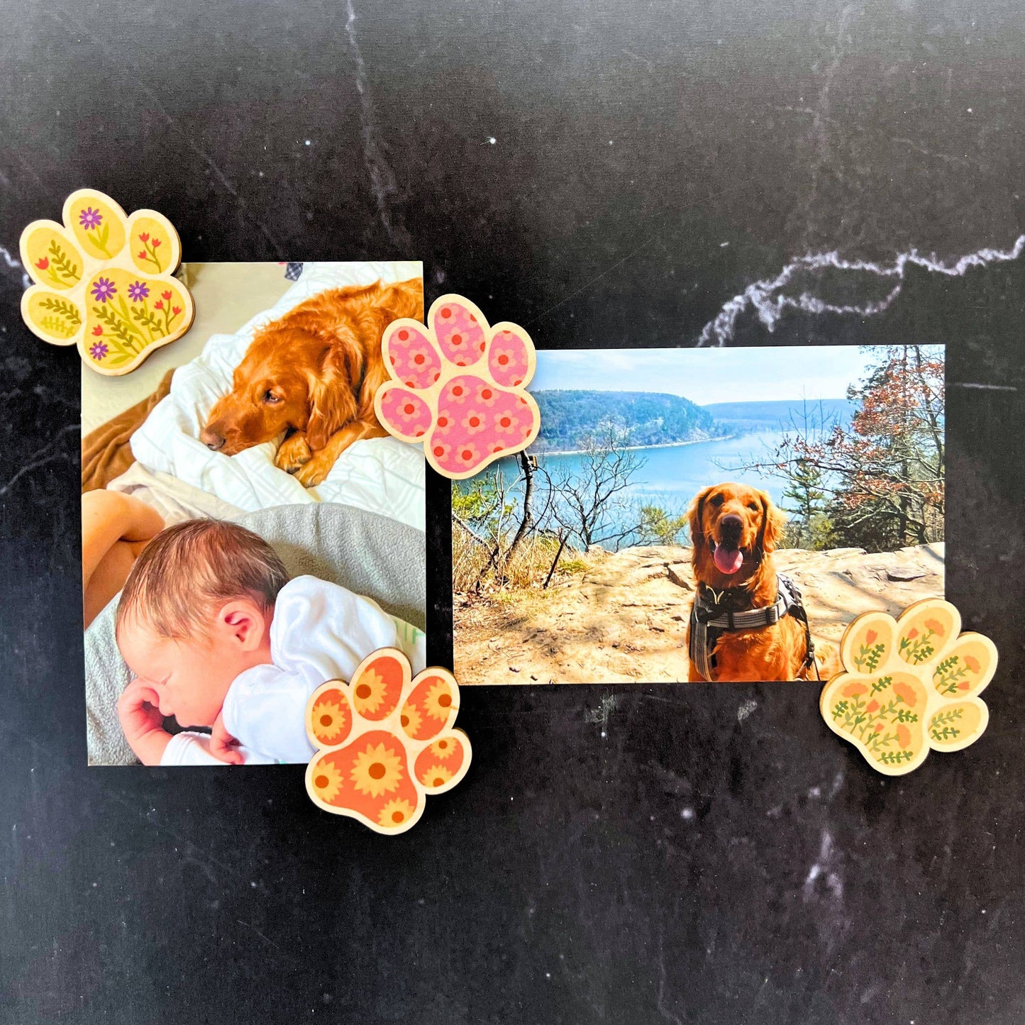 Driftless Studios - Summer Flowers Dog Paw Print Magnet Set - Home Decor