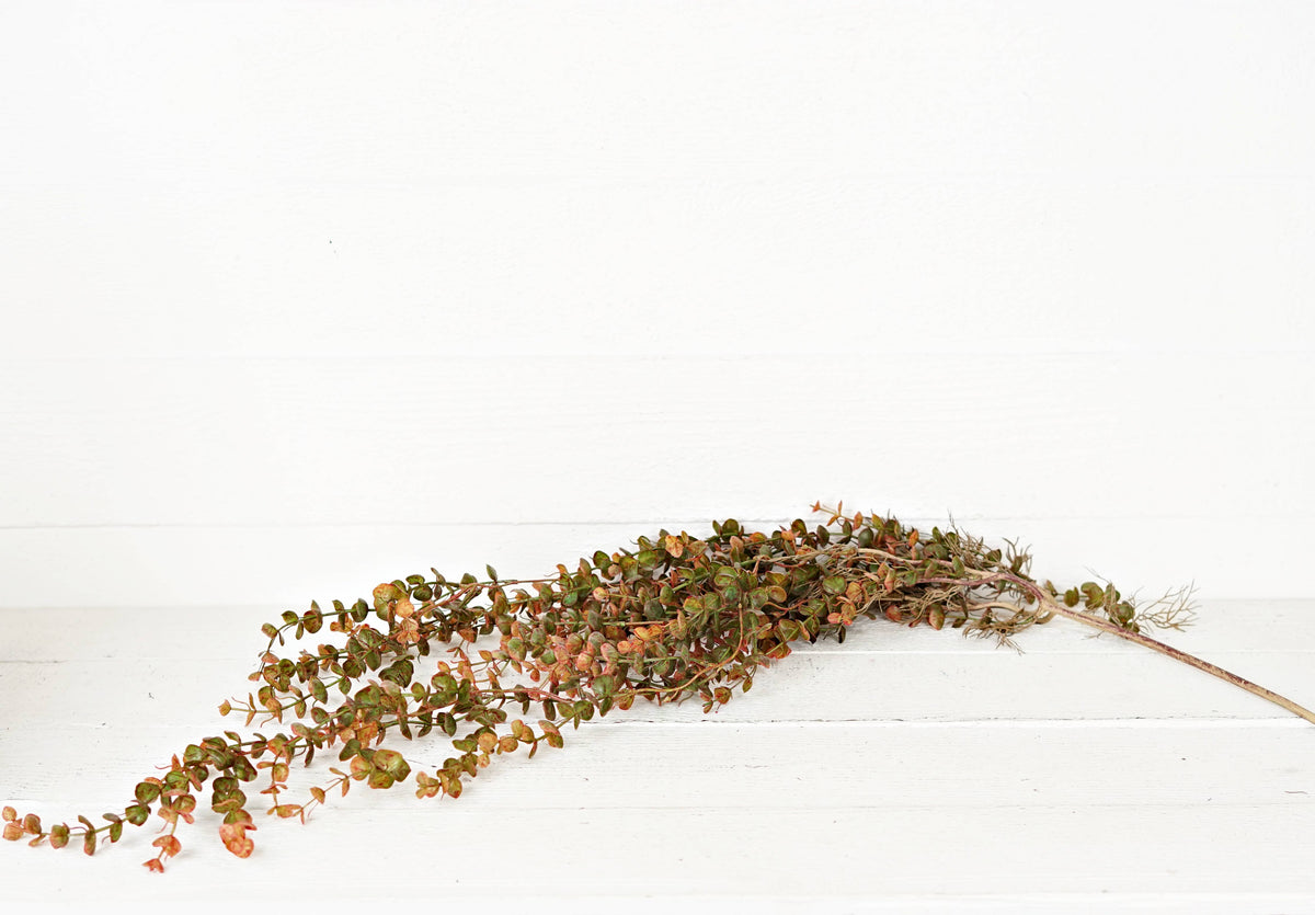 Impressive Enterprises, Inc. - 530978- 4ft Dripping Garland-Baby Eucalyptus-Burgundy/Green-