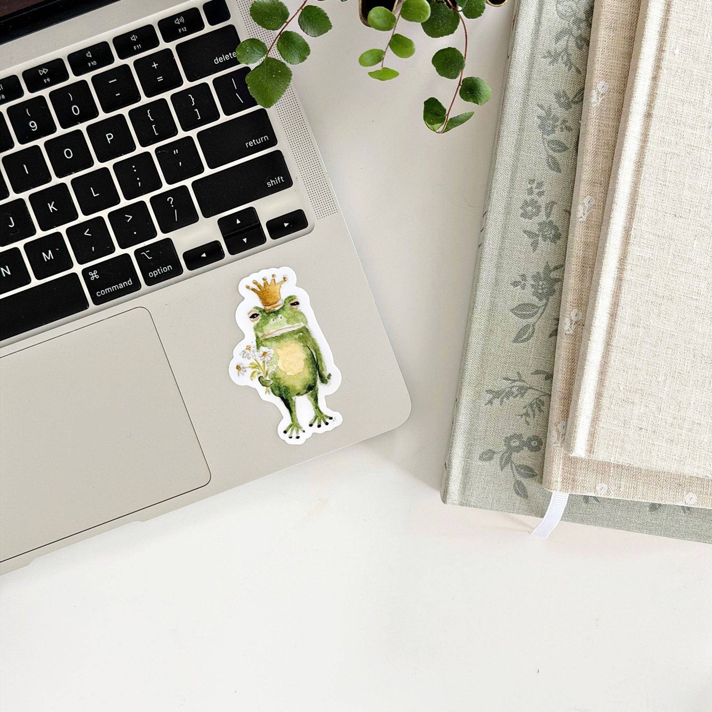 emily lex studio - Frog prince sticker
