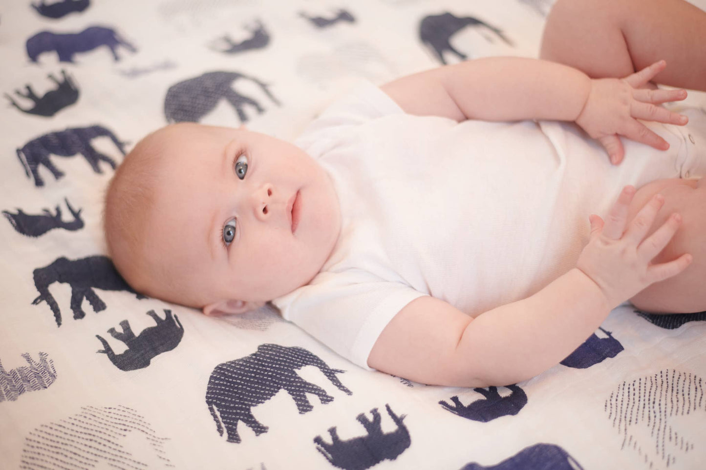 Newcastle Classics - Blue Elephant and Spotted Wave Newcastle Blanket