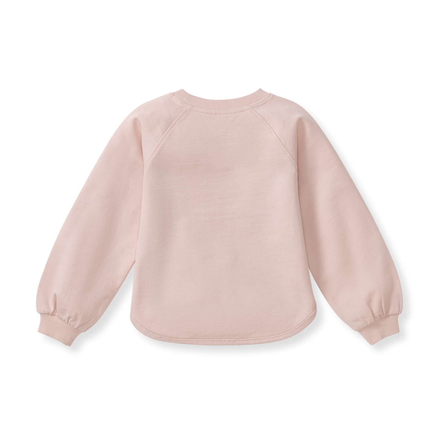 Burt's Bees Baby - Hoppy Pink Organic Cotton Sweatshirt