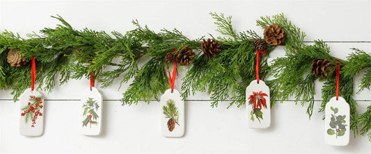 Audrey's Home & Gift - Winter Botanical Ceramic Ornaments (Pk/05 Ast)
