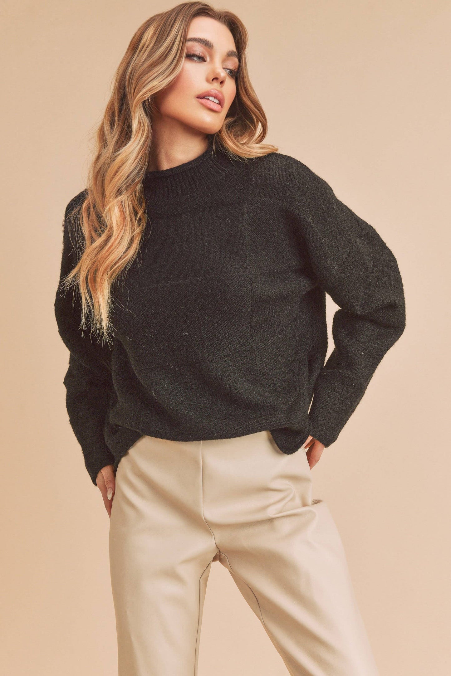 AEMI + CO - 334BK Ryleigh Sweater 1