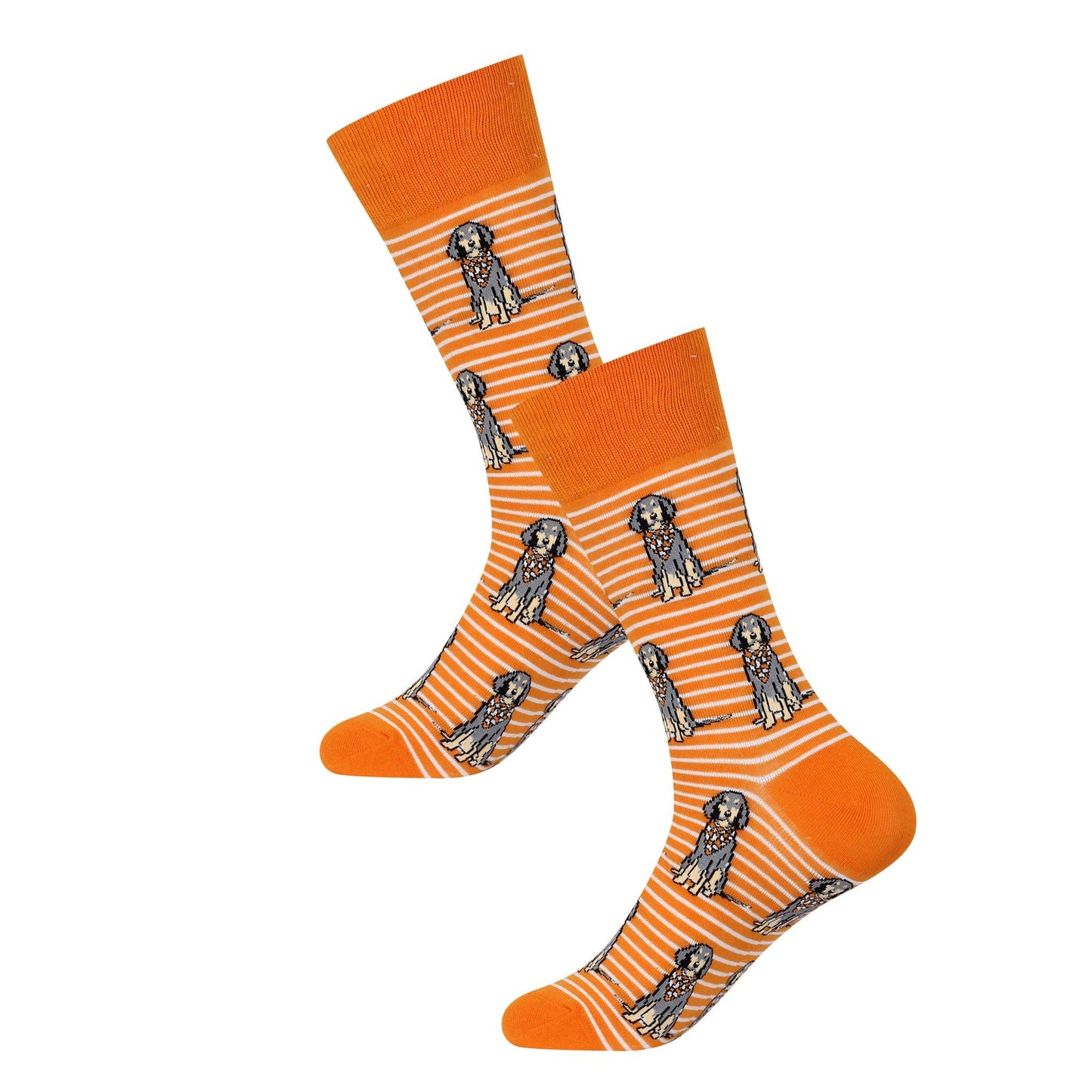 Barrel Down South - Sitting Bluetick Coonhound Socks