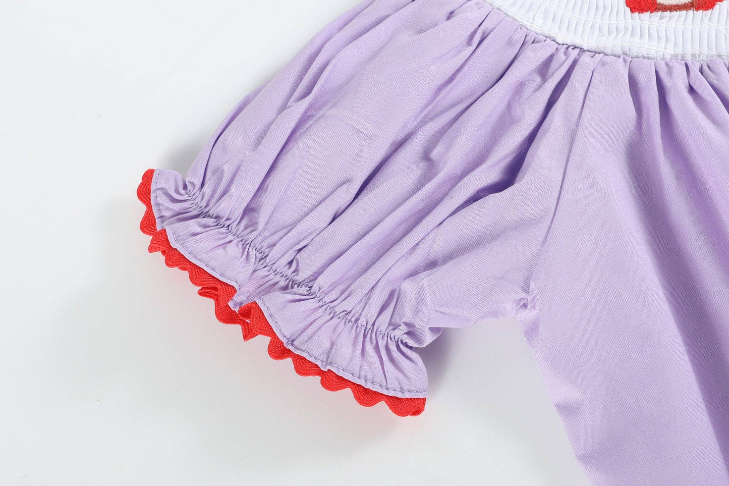 Lil Cactus - Purple Gingham Crayon Smocked Bishop Dress