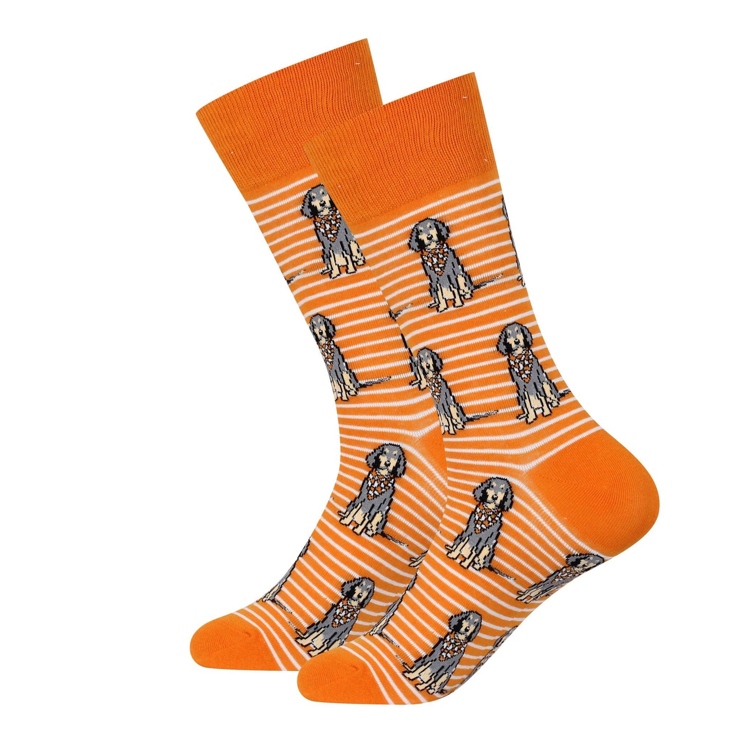 Barrel Down South - Sitting Bluetick Coonhound Socks