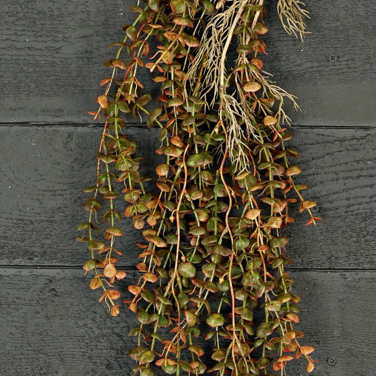 Impressive Enterprises, Inc. - 530978- 4ft Dripping Garland-Baby Eucalyptus-Burgundy/Green-