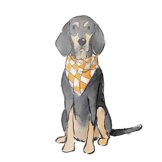 Barrel Down South - Bluetick Coonhound Tennessee Sticker Vols, UT