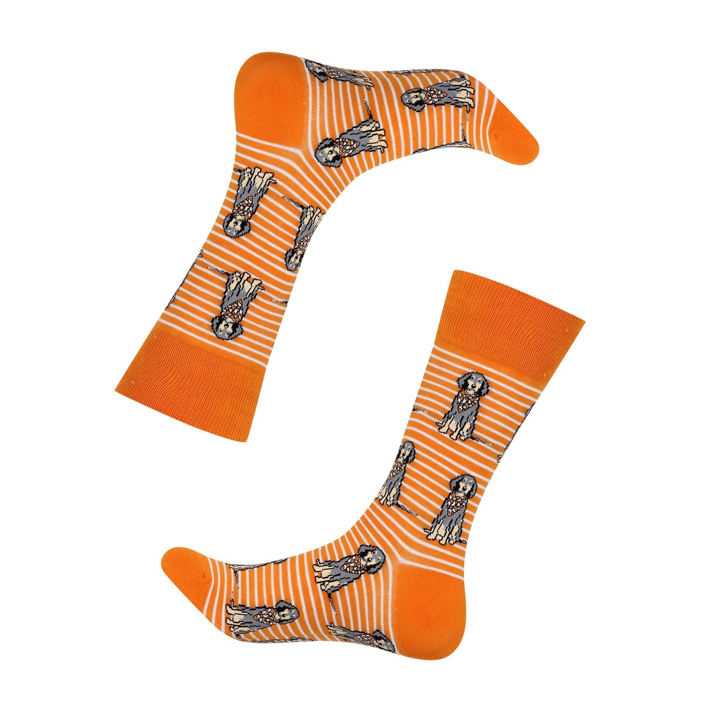 Barrel Down South - Sitting Bluetick Coonhound Socks