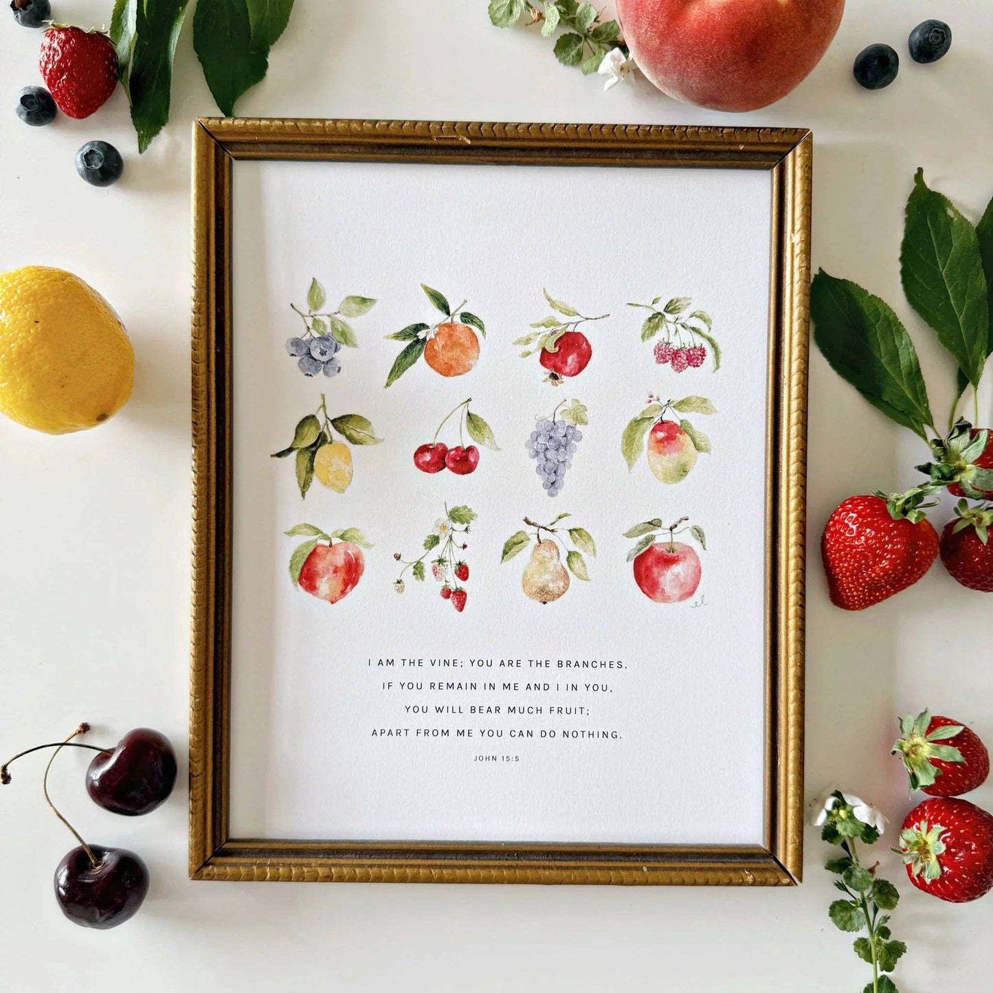 emily lex studio - John 15:5 fruit scripture print