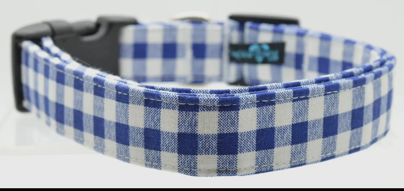 Blue Gingham Collar