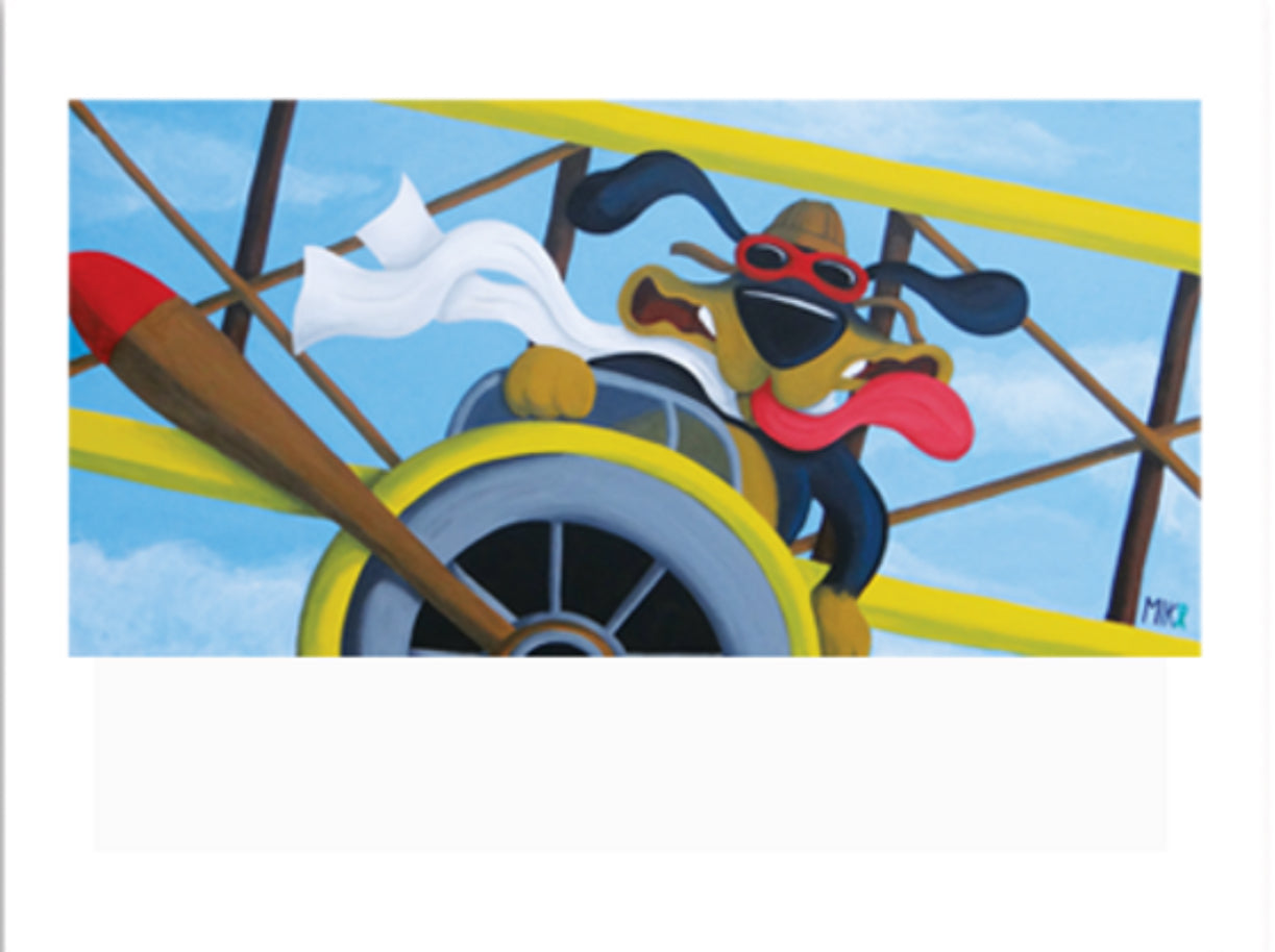 Doodlewags Fly Boy print