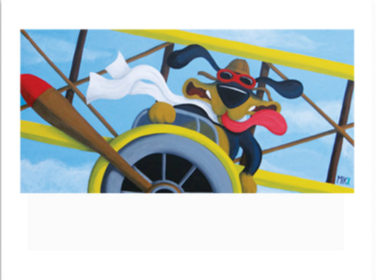 Doodlewags Fly Boy print
