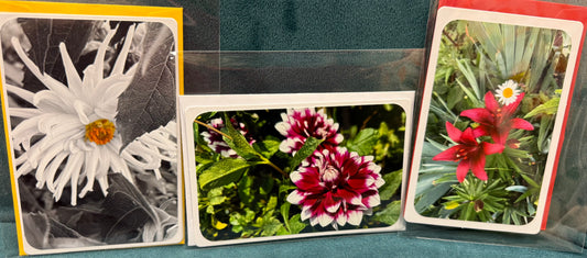 Flower card mini set