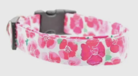 Poppies Collar
