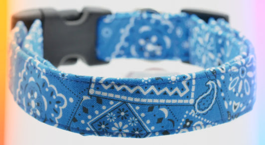 Blue Bandana Collar