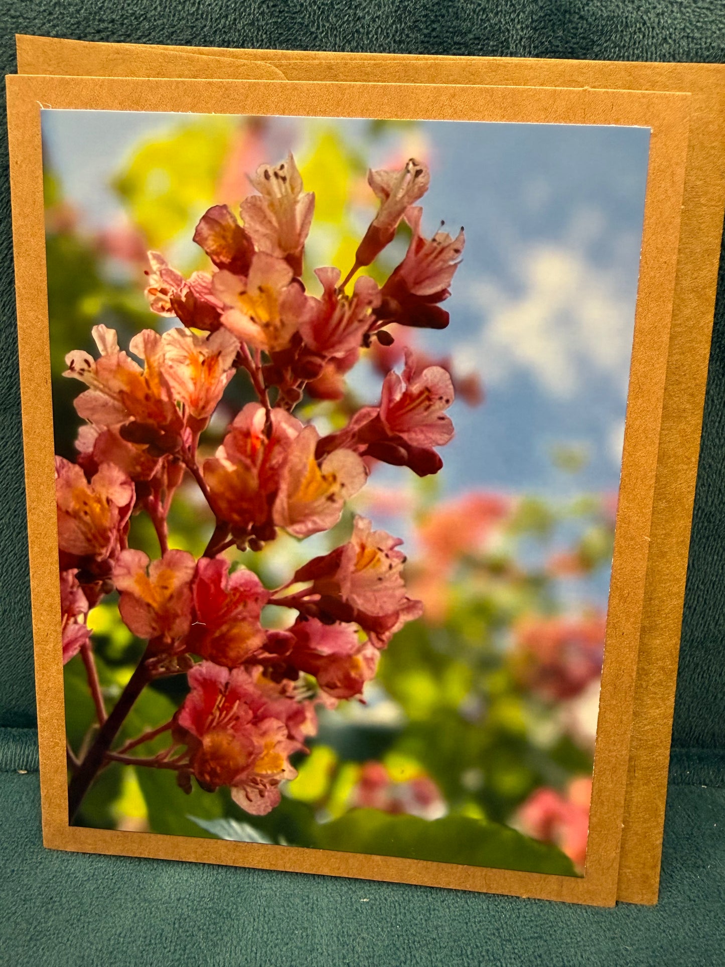 Cards: Flower Card Set of 4