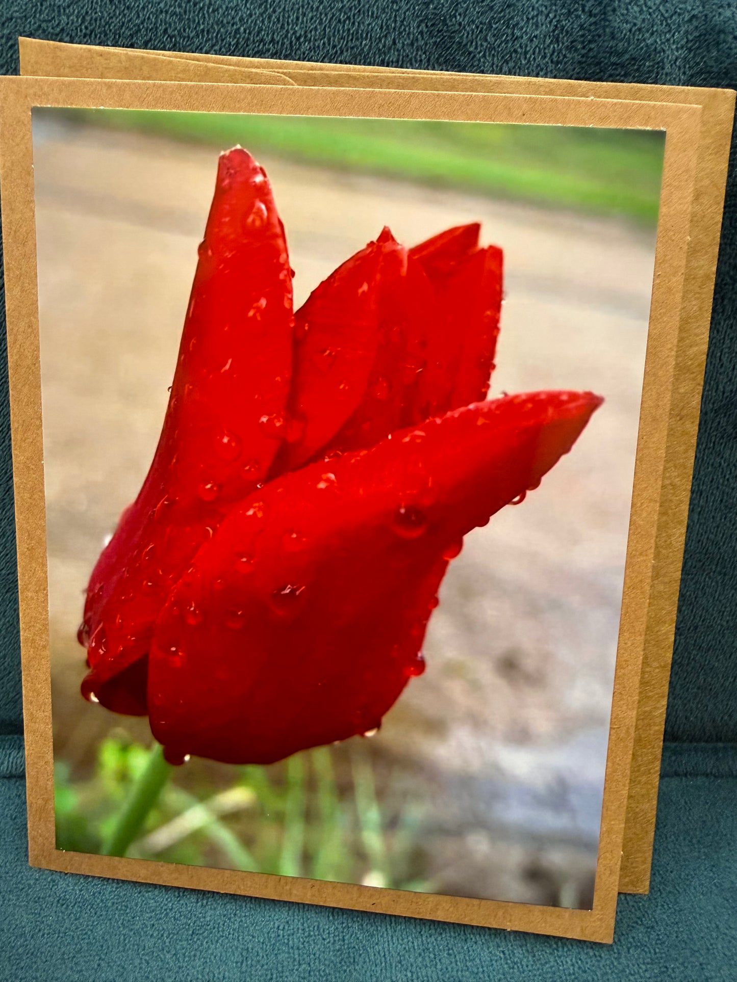 Cards: Flower Card Set of 4