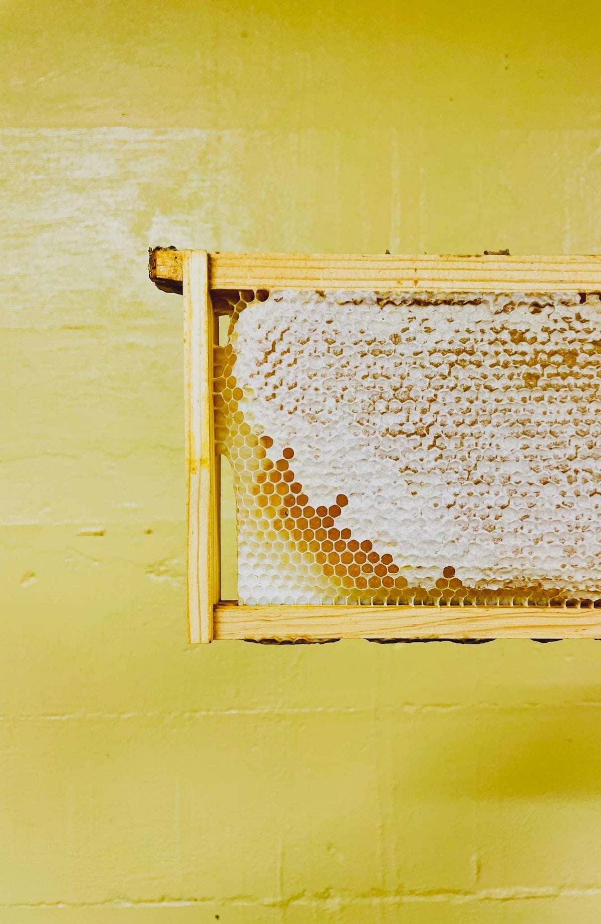 Messner Bee Farm - Lemon Lavender Creamed Honey / 9oz. / Kansas City
