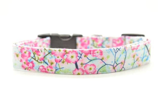 Dog Collar World - Spring Flowers Collar