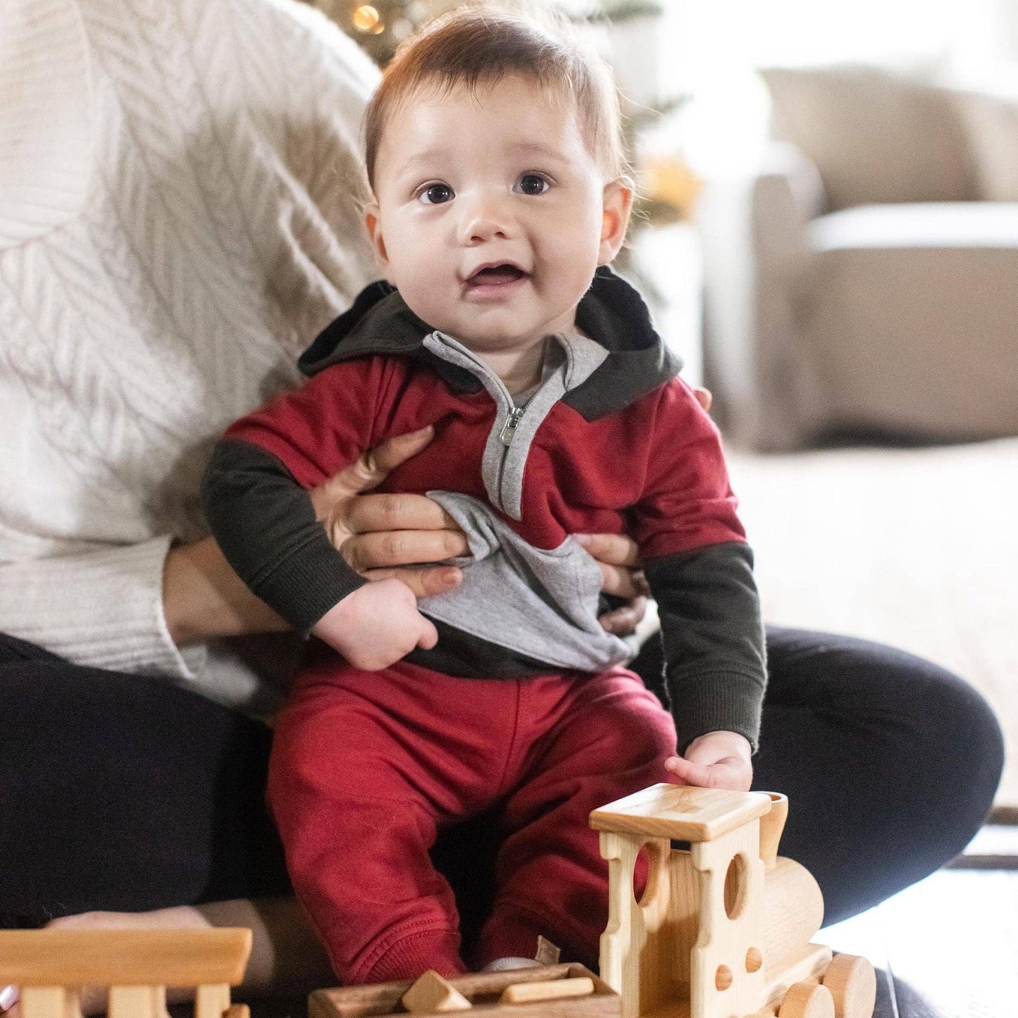 Burt's Bees Baby - Color Blocked Infant Sweatshirt Set - Brick