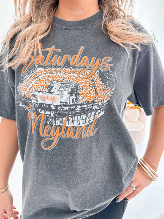 Wicker Road Boutique - Saturdays at Neyland - Comfort Colors Tee in Pepper