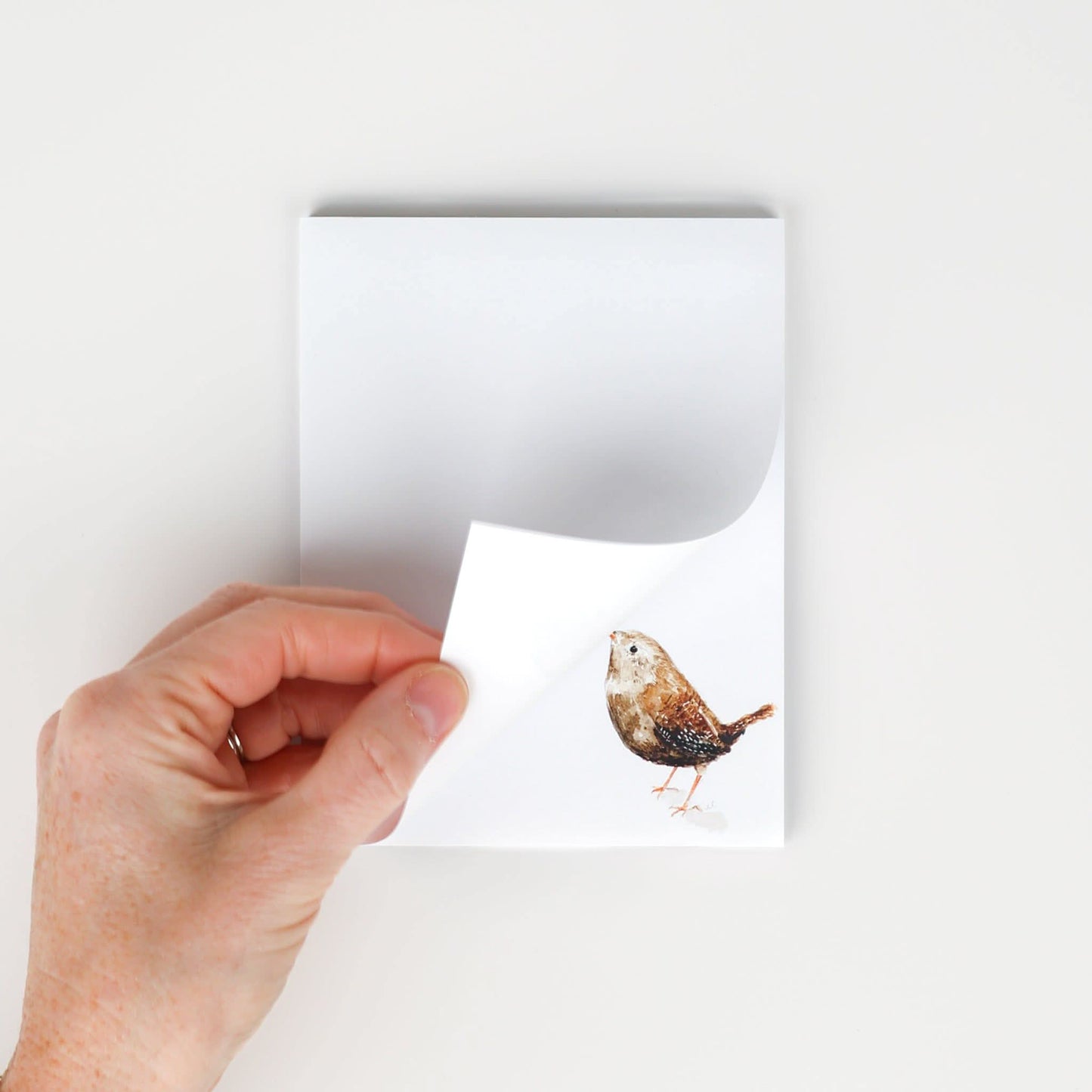 emily lex studio - Everyday notepad