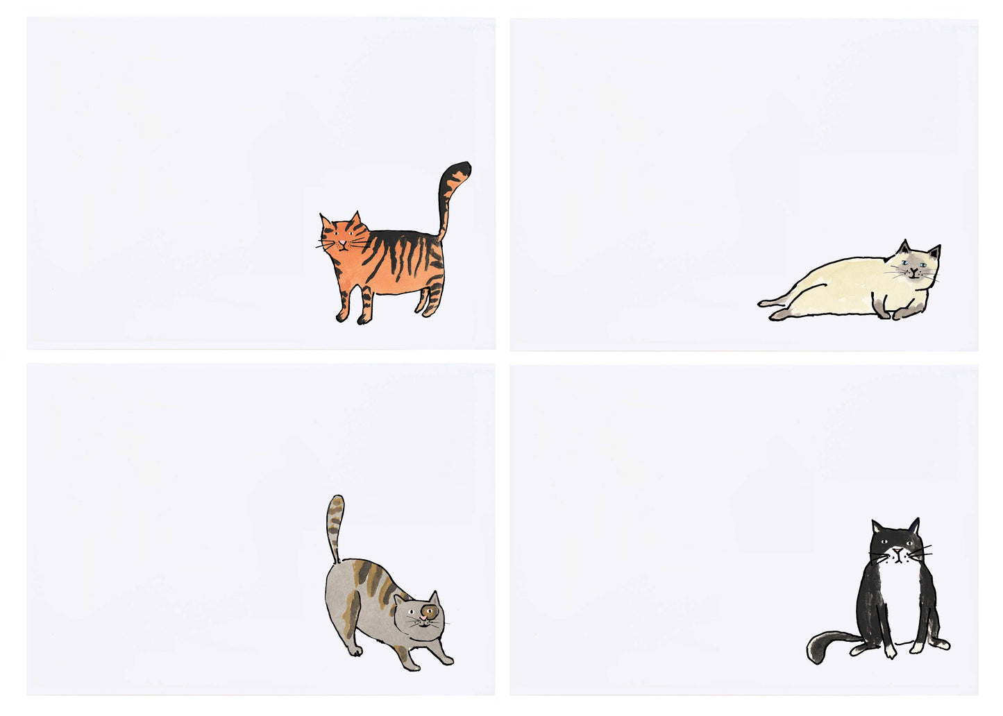 mollyOcards - Cats Stationery