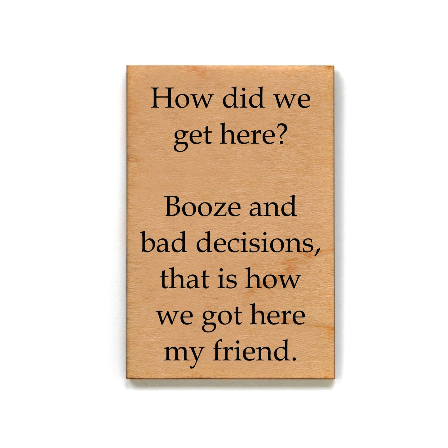 Driftless Studios - Magnet How Did We Get Here? Booze And Bad Decisions -XM038