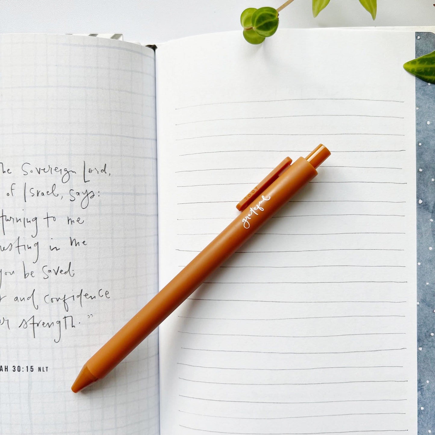 emily lex studio - Jotter pen